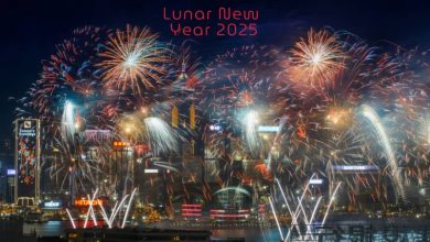 29 January Lunar New Year 2025 Fireworks Timetable