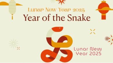 29 January Lunar New Year 2025 Wishes for for Chinese Friends Colleague