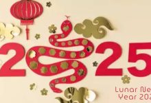 29th January Happy Chinese New Year 2025 Greetings Wishes Message Status Caption