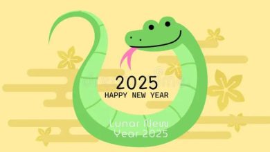 50+ Chinese Happy New Year 2025 Wishes Messages for Colleague