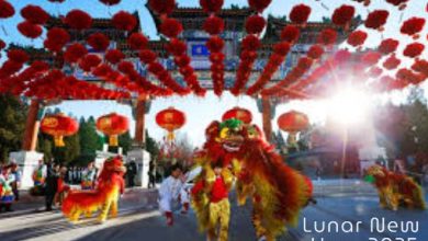 60+ Happy Lunar new year 2025 wishes in Chinese and English