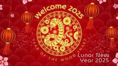 Happy Chinese new year 2025 wishes