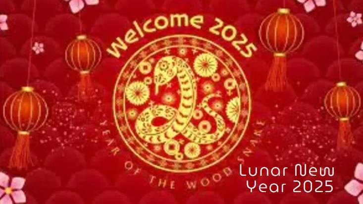 Happy Chinese new year 2025 wishes