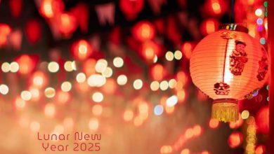 Happy Lunar New Year 2025 (January 29) Wishes Message Greetings in Chinese