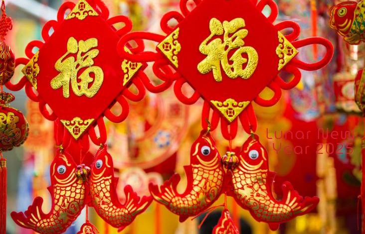 Happy Lunar new year 2025 clipart