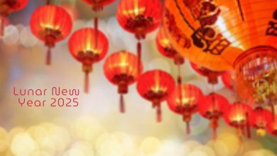 Happy lunar new year 2025 celebrations