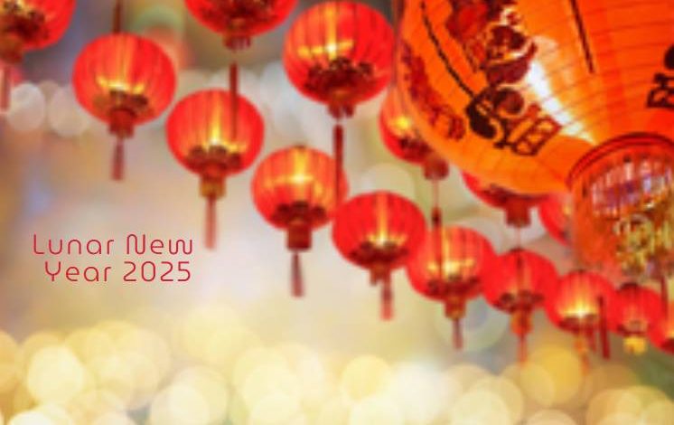 Happy lunar new year 2025 celebrations