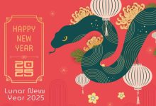 Lunar New Year 2025 animal Images, Pictures, Wallpaper, Photos, GIF, Memes