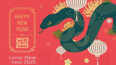 Lunar New Year 2025 animal Images, Pictures, Wallpaper, Photos, GIF, Memes