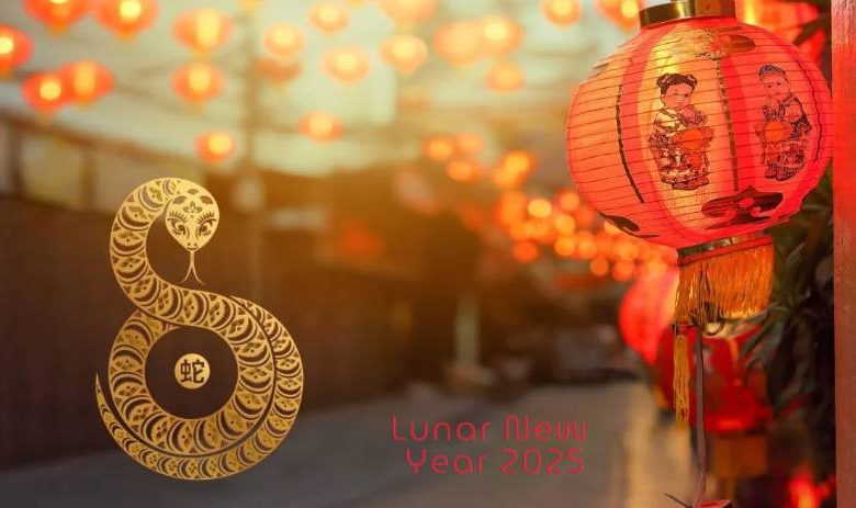 Sydney lunar new year dragon boat festival 2025